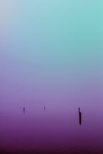 Blauw en paarse mist over de Rijkerswoerdse Plassen