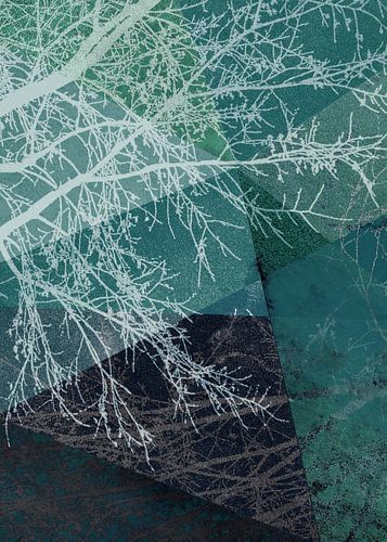 P19-E1 BOMEN EN DRIEHOEKEN