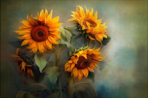 Een groep zonnebloemen in warme oranje-geel tinten tegen een zachte schilderachtige achtergrond.