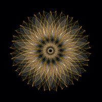 Golden  sunflower