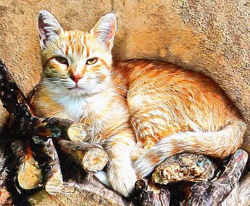 Hogarty The Ginger Cat van Dorothy Berry-Lound