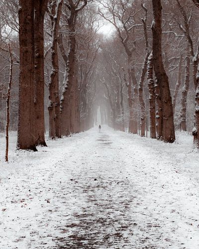 Winterdag in Nederland