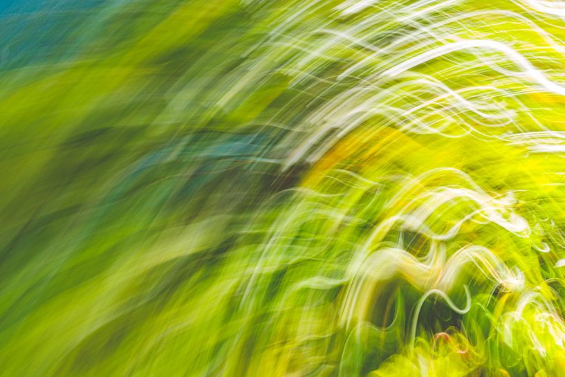 swaying grass by Jan Peter Jansen