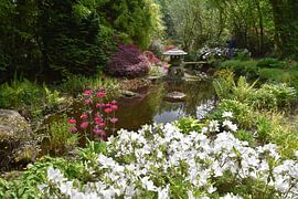 Japanse tuin in het voorjaar by Susan Dekker