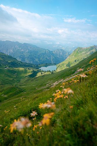 Bloemrijk uitzicht op de Seealpsee in de Allgäuer Alpen