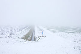 Polder im Nebel mit Schnee
