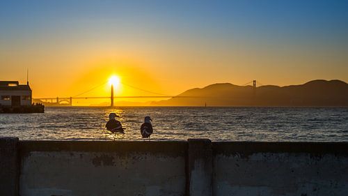 Zonsondergang in San Francisco