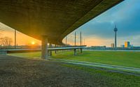 Sonnenaufgang unter der Rheinkniebrücke in Düsseldorf von Michael Valjak Miniaturansicht