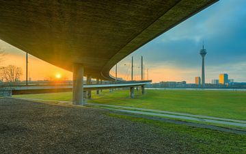 Sonnenaufgang unter der Rheinkniebrücke in Düsseldorf