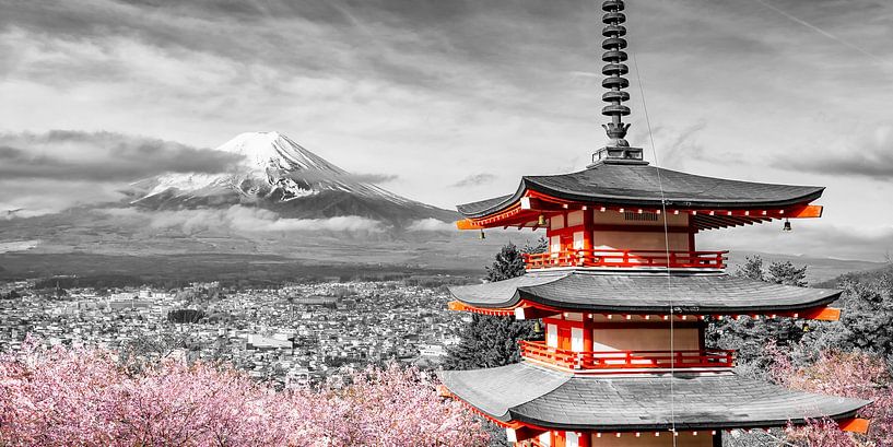 Vue panoramique grandiose du Fuji avec pagode en fleur de cerisier | colorkey par Melanie Viola