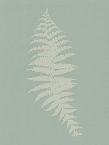 Botanique minimaliste. Fougère en blanc sur sauge.