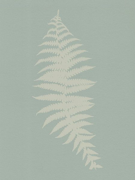 Minimalist Botanical. Fern in white on sage. by Dina Dankers