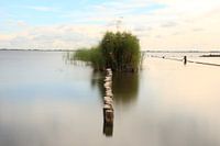 Slotermeer Friesland ( Balk )