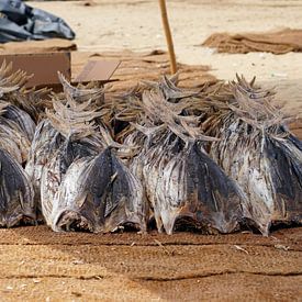 Sun dried fish by Andrew Chang