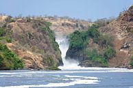 Murchison Falls, Oeganda von Robert van Hall Miniaturansicht