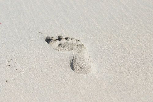 Leaving an imprint in the sand