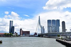 rotterdam 