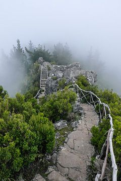 Miradouro do Pico Redondo von Eric Hokke