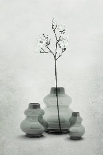 Vases en verre dans des tons transparents de gris-vert