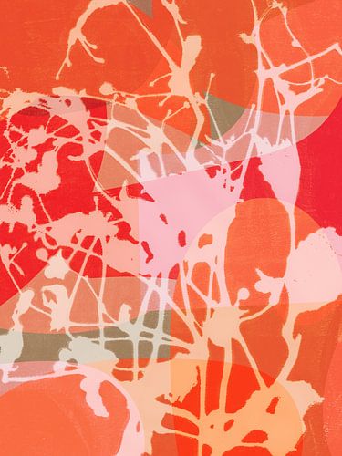 Kleurrijke abstracte botanische kunst in oranje, rood, roze, wit