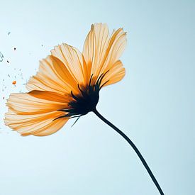 Releasing into the Air by ByNoukk
