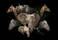 Wilde dieren van Wianda Bakker thumbnail