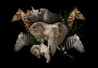 Wilde dieren