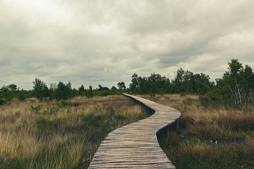 Zugbrücke in der Groote Peel