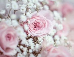 Romantische rosa Rosen mit Gypsophilie