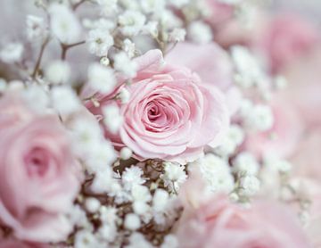 Romantische roze rozen met gipskruid