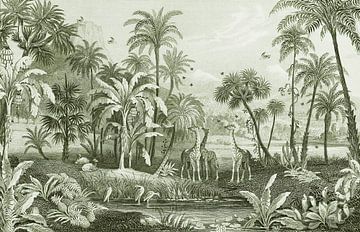 Jungle vintage avec girafes et oiseaux. Palmiers et fougères. sur Studio POPPY