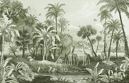 Vintage jungle met giraffen en vogels. Palmen en varens. van Studio POPPY