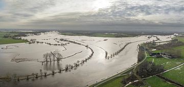 Überschwemmungen der Flüsse Vecht und Zwarte Water bei Zwolle von Sjoerd van der Wal Fotografie
