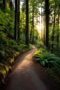 Stille und Schönheit