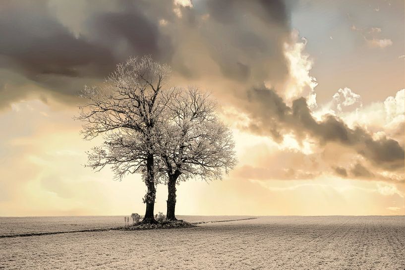 Lever du soleil sur un paysage d'hiver par Gert Hilbink