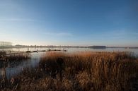 Eiland van Maurik van Moetwil en van Dijk - Fotografie thumbnail