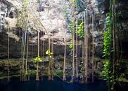 Cenote bij Valladolid in Yucatan, Mexico van Michiel Dros thumbnail