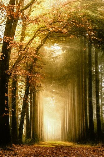 de pionier by Lars van de Goor