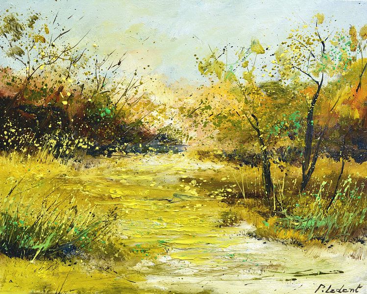 Moeras van pol ledent