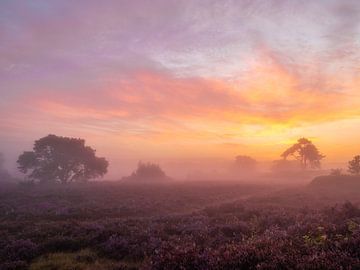 in vuur en vlam van snippephotography