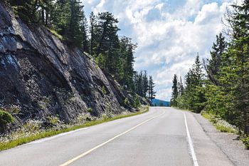 Der Weg zur Freiheit