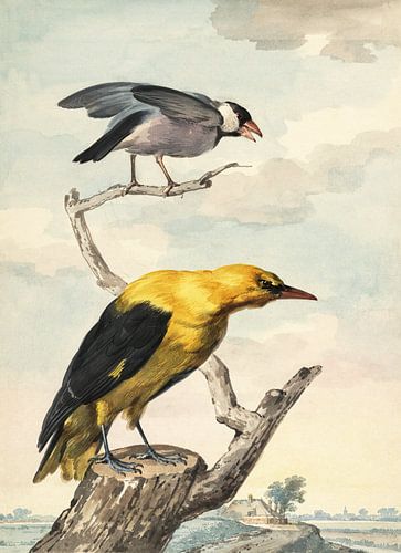 Landschap met een rijstvogel en een wielewaal op een boomstronk, Aert Schouwman