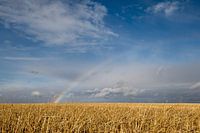 Halve regenboog boven Canadese prairie