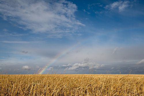 Photographie panoramique d'un arc-en-ciel au-dessus de la prairie infinie de l'Alberta, au Canada.
