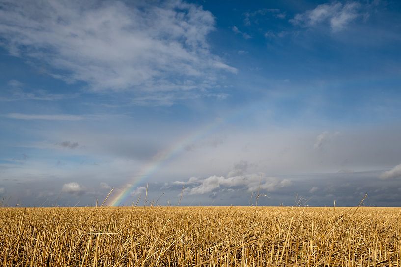 Halve regenboog boven Canadese prairie van Christiaan Poot