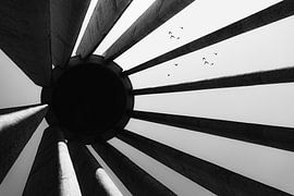 Vers le trou noir sur Hamid Mohammad Hossein Zadeh Hashemi