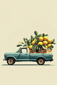 Abholung von Zitrusfrüchten von Mosaic Dialogue