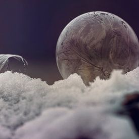 Frozen bubble on snow van Natascha IPenD