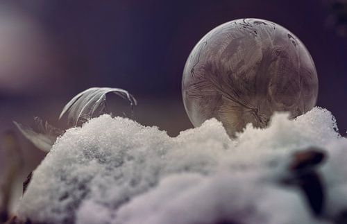 Frozen bubble on snow