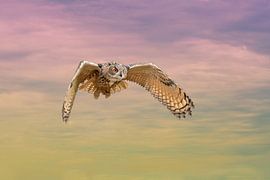 Un hibou grand-duc d'Eurasie. Des mouches aux ailes déployées dans un ciel dramatique. Les yeux roug sur Gea Veenstra